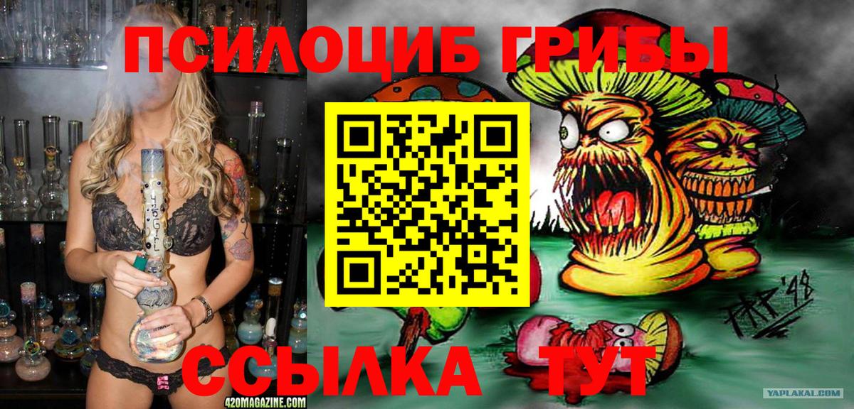 Гусь-Хрустальный  Галлюциногенные грибы Cubensis  Вход с VPN 